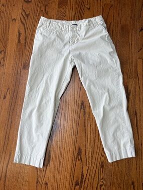 Patagonia Light Khaki Straight Fit Ankle Pants